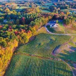 Milea viewed from above in autumn