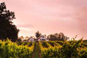 Milea Estate Vineyard: Best Winery in the Hudson Valley