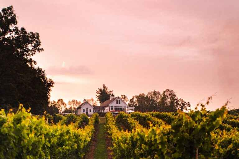 Milea Estate Vineyard: Best Winery in the Hudson Valley