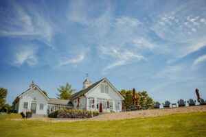 Award-winning wines displayed in Milea Estate's tasting room, voted best winery in Hudson Valley