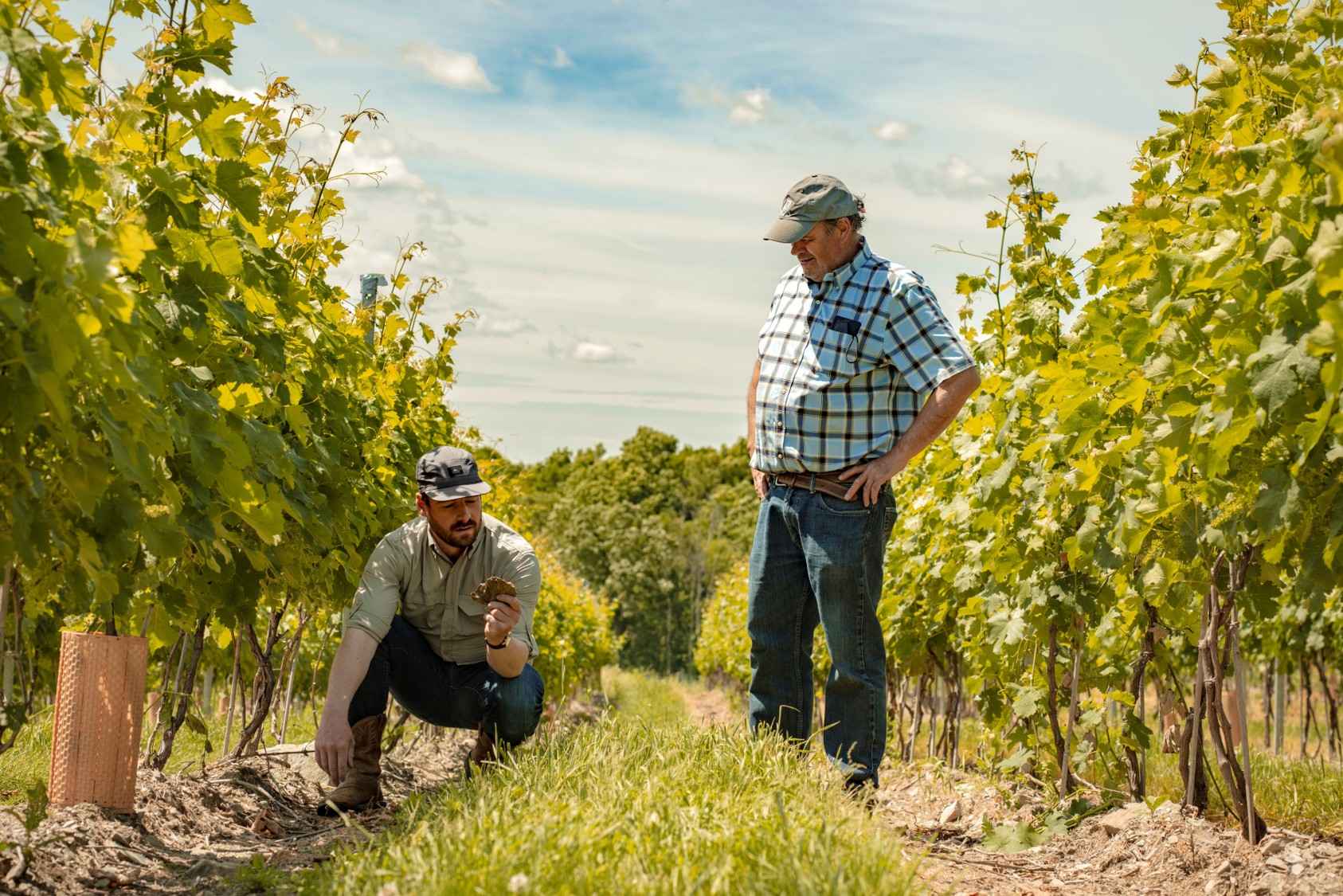 Ultimate No Car Wine Trip Near NYC 4 Milea Estate Vineyard's sustainable farming practices in the Hudson Valley, NY