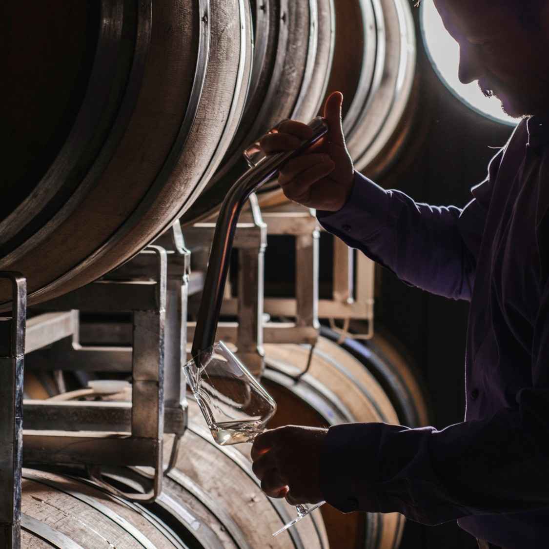 A History of NY Wine 4 Traditional winemaking techniques being practiced in modern New York vineyards, showing heritage methods preserved today