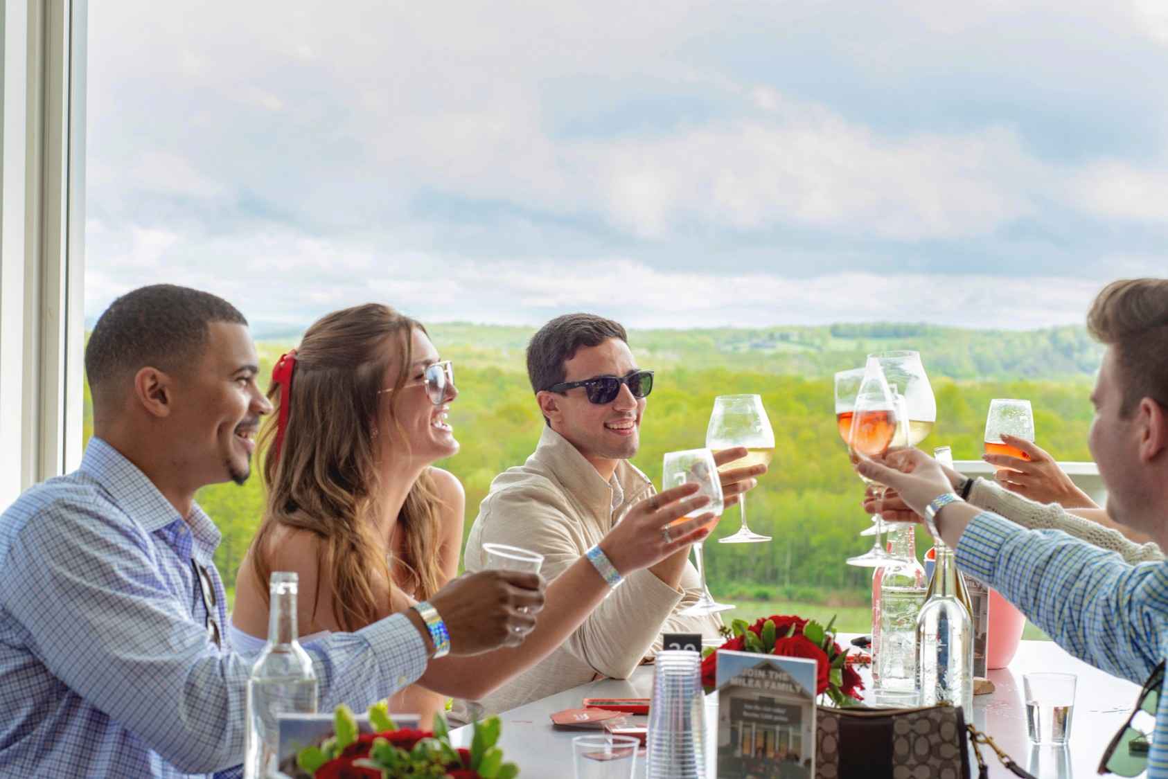 Plan the Ultimate Hudson Valley Wine Tasting Experience 2 Panoramic view of Milea Estate's Hudson Valley vineyard rows at sunset