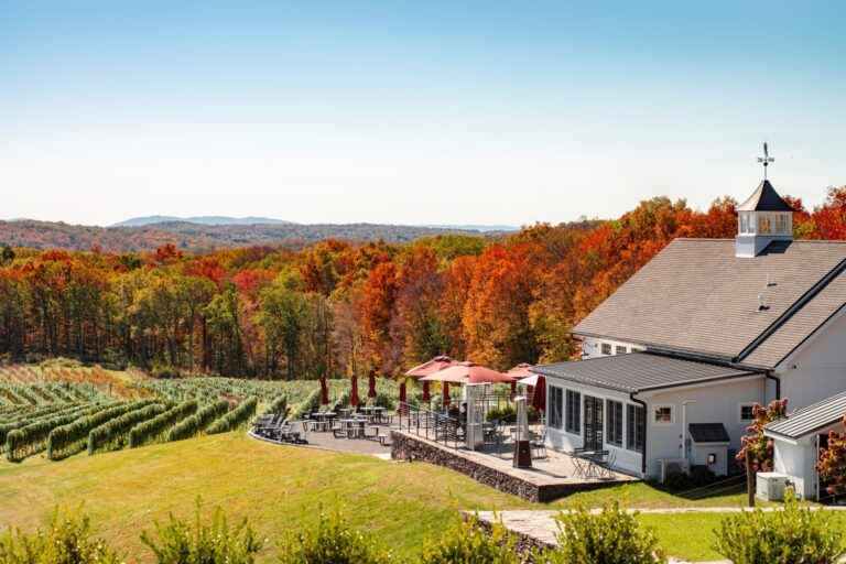 When to Visit NY Wineries 1 Stunning views of the Hudson Valley's rolling hills and vineyards greet visitors to Milea Estate Vineyard, one of the best NY wineries to visit year-round